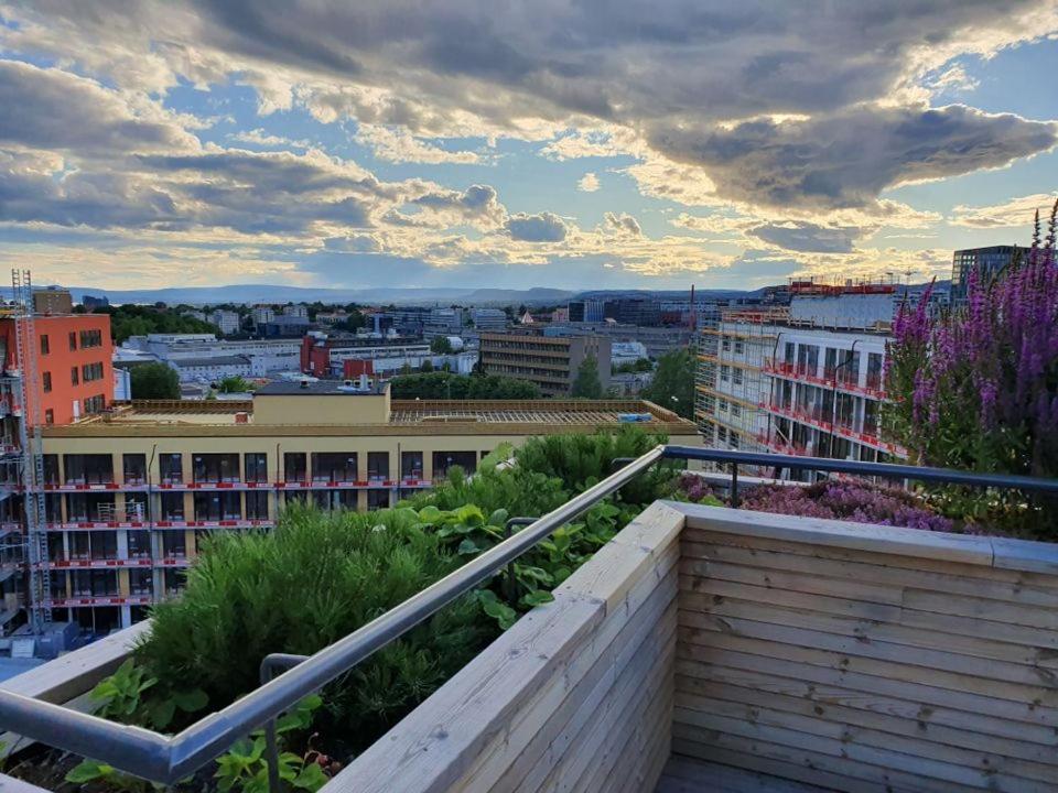 Touristic Choice Of Oslo